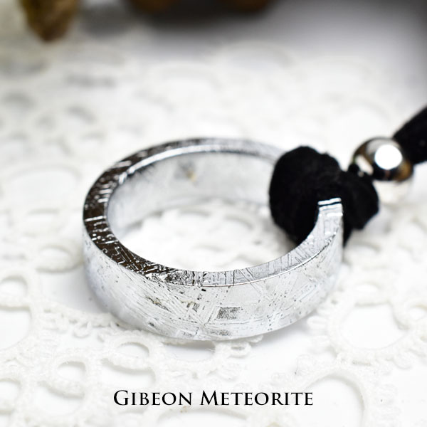 ギベオン　隕石　メテオライト　リングネックレス　指輪　gibeon　meteorite　ペア　ネックレス