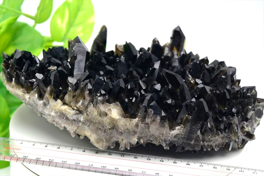 アーカンソー産 黒水晶クラスター Arkansas スモーキークォーツ 原石 結晶 クラスター 浄化 置物 天然石 パワーストーン