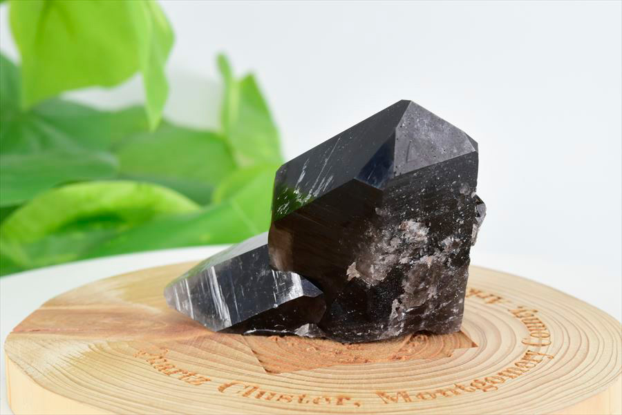 龍穴あり‼️アメリカ産 スモーキークォーツ ミニクラスター水晶 楽天市場】黒水晶 スモーキークォーツ ミニクラスター原石