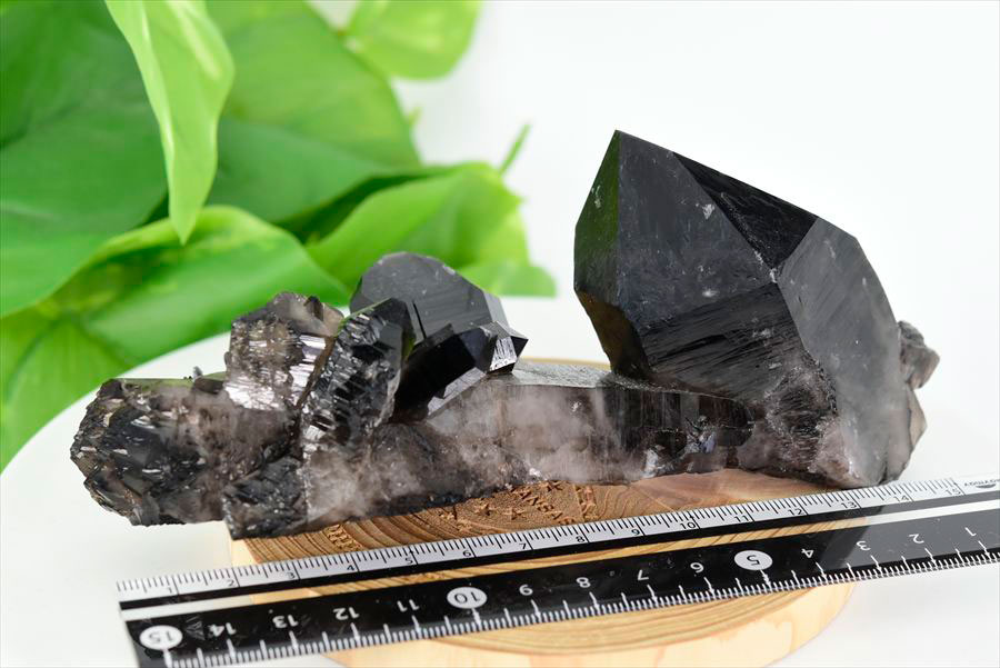 アーカンソー産 黒水晶クラスター Arkansas スモーキークォーツ 原石 結晶 クラスター 浄化 置物 天然石 パワーストーン