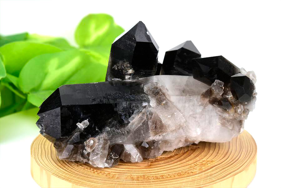 アーカンソー産 黒水晶（スモーキークォーツ）クラスター原石｜原産地