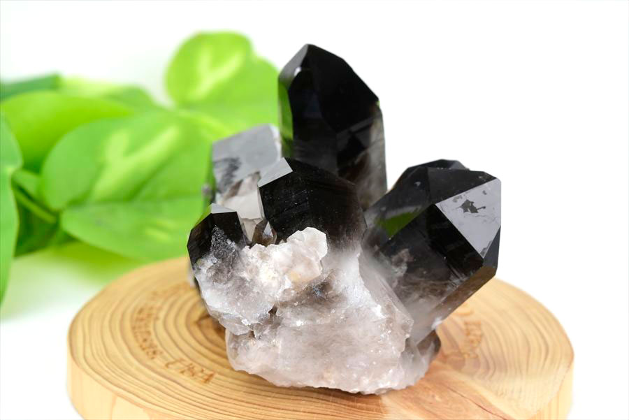 アーカンソー産 黒水晶（スモーキークォーツ）クラスター原石｜原産地