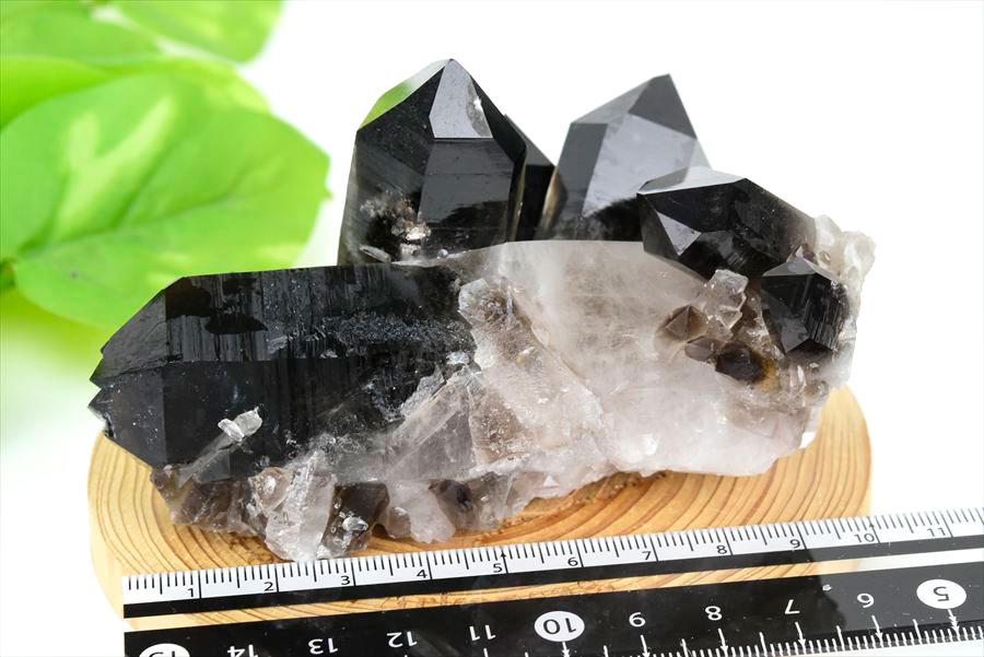 アーカンソー産 黒水晶（スモーキークォーツ）クラスター原石｜原産地