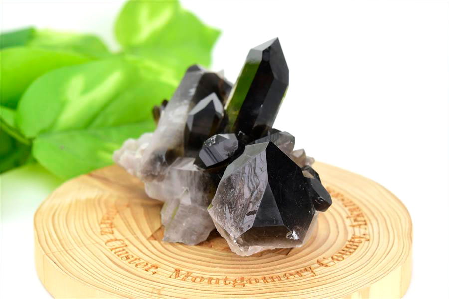 アーカンソー産 黒水晶（スモーキークォーツ）クラスター原石｜原産地