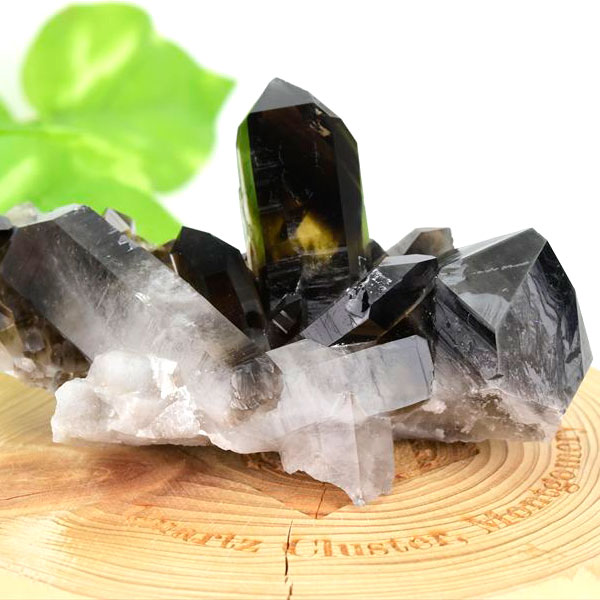 アーカンソー産 黒水晶（スモーキークォーツ）クラスター原石｜原産地