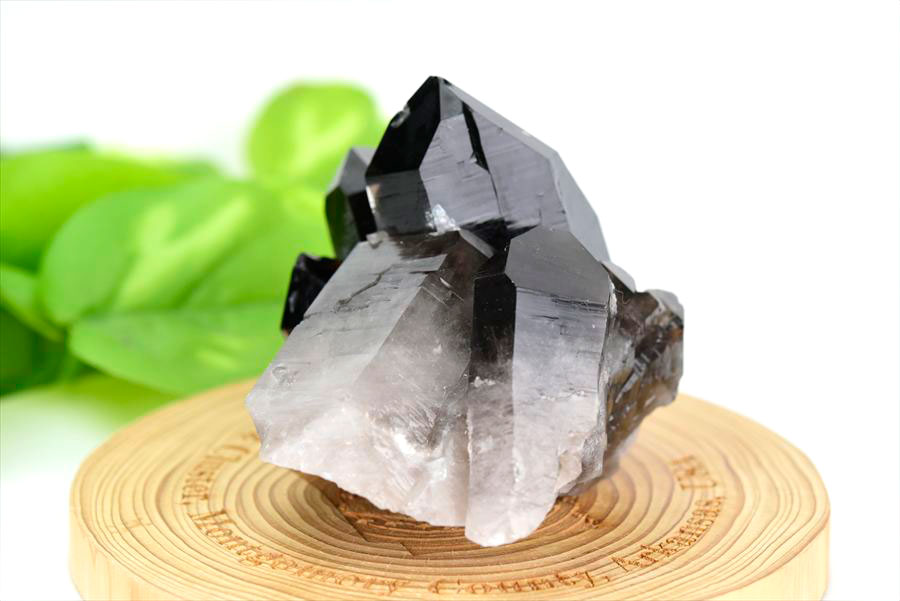 【極上品】アーカンソー産　黒水晶 アーカンソー産 黒水晶（スモーキークォーツ）クラスター原石｜原産地