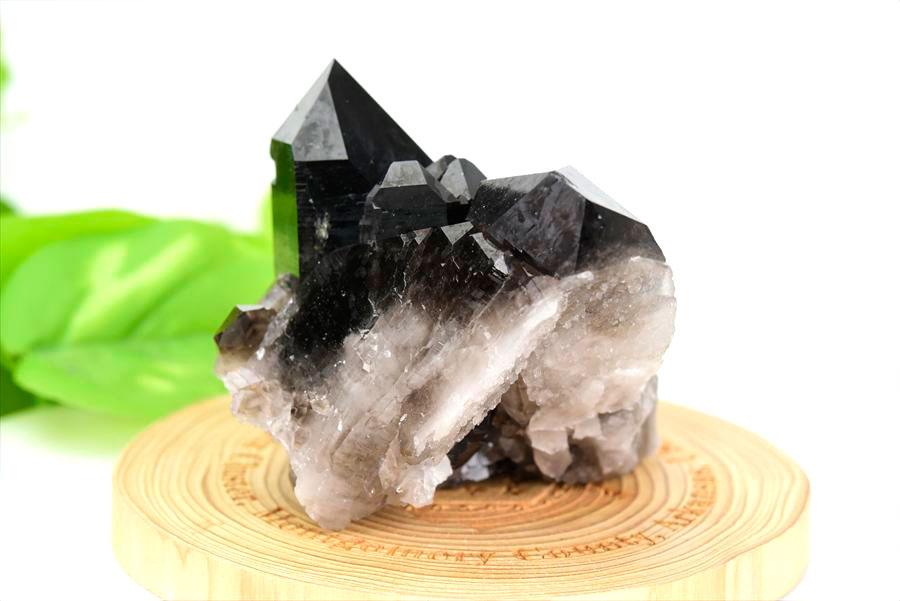 アーカンソー産 黒水晶（スモーキークォーツ）クラスター原石｜原産地