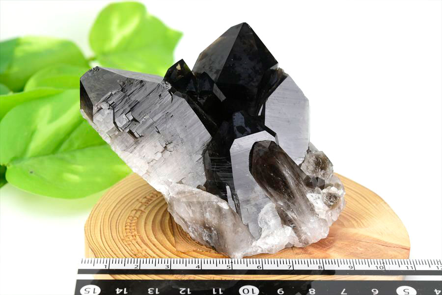 アーカンソー産 黒水晶（スモーキークォーツ）クラスター原石｜原産地