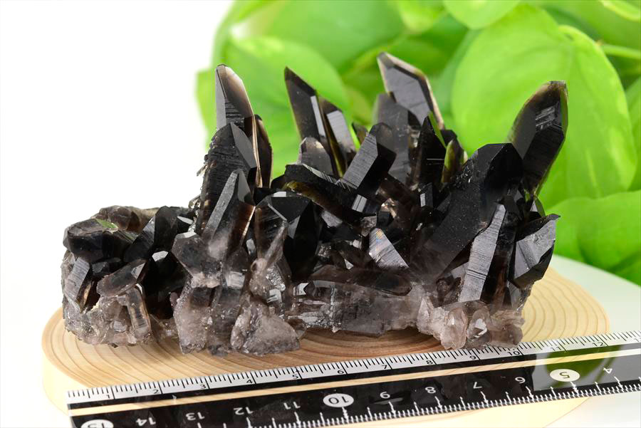 アーカンソー産　黒水晶クラスター　Arkansas　スモーキークォーツ　原石　結晶　クラスター　浄化　置物　天然石　パワーストーン