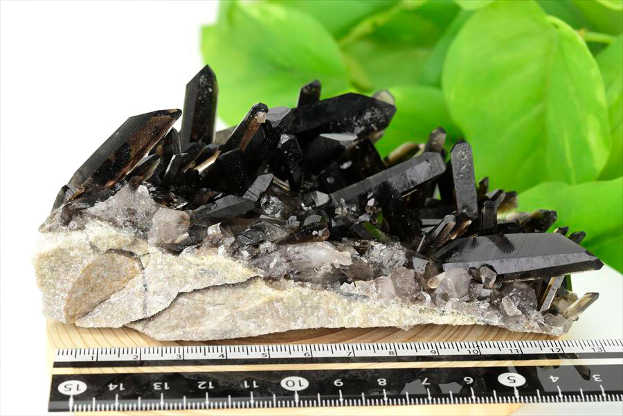 アーカンソー産　黒水晶クラスター　Arkansas　スモーキークォーツ　原石　結晶　クラスター　浄化　置物　天然石　パワーストーン