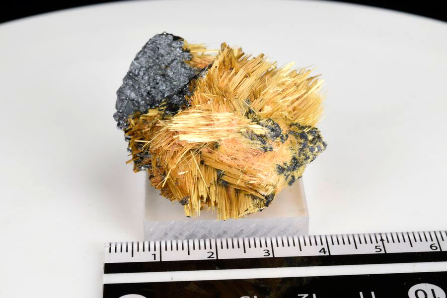 ゴールドルチル　クラスター　鉱物　原石　針状結晶　針のみ　むき出し　置物　天然石　パワーストーン