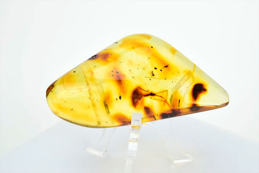 コロンビア産 虫入り 琥珀 アンバー コパル Copal Amber Insects Colombia ヤングアンバー タンブル