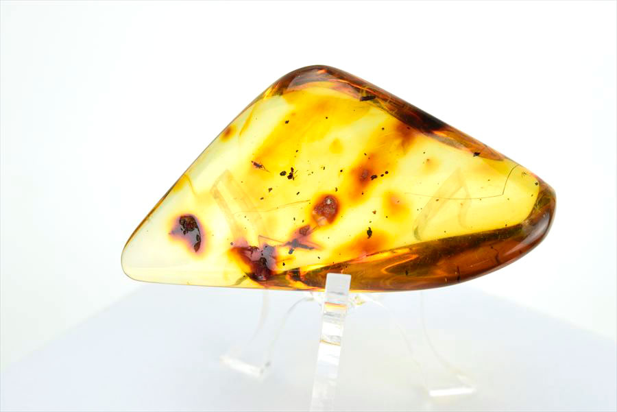 コロンビア産 虫入り 琥珀 アンバー コパル Copal Amber Insects Colombia ヤングアンバー タンブル