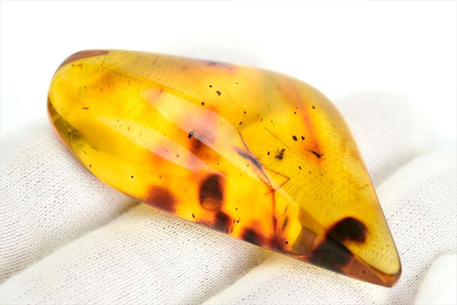 コロンビア産 虫入り 琥珀 アンバー コパル Copal Amber Insects Colombia ヤングアンバー タンブル