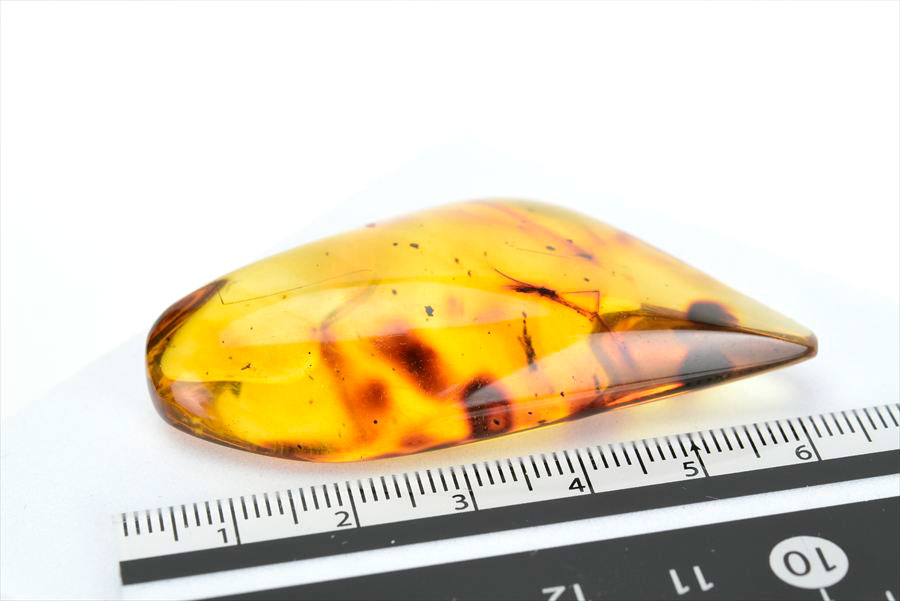 コロンビア産 虫入り 琥珀 アンバー コパル Copal Amber Insects Colombia ヤングアンバー タンブル