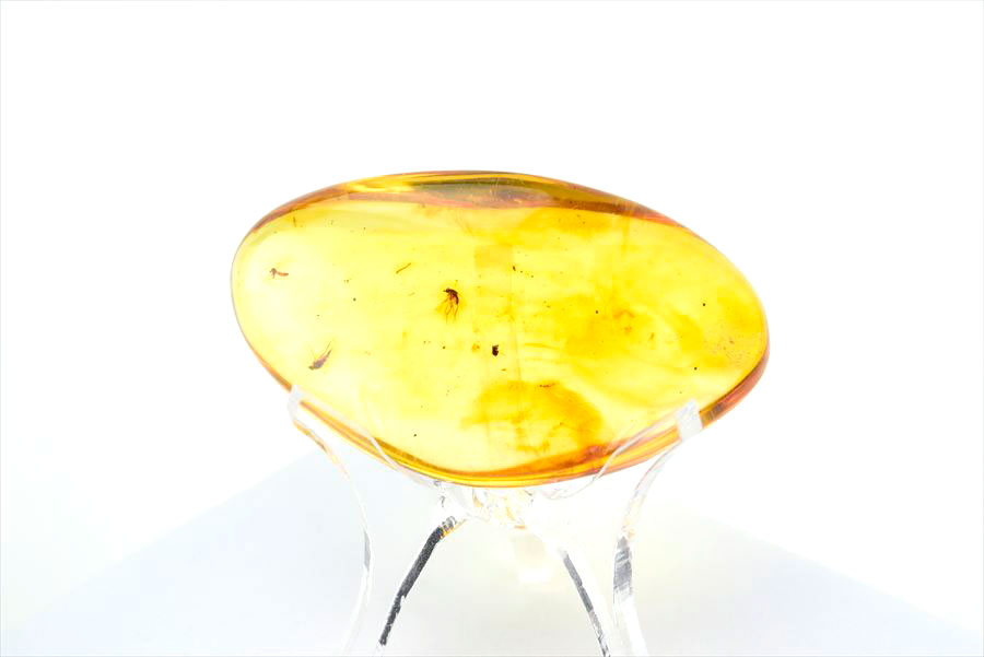 コロンビア産 虫入り 琥珀 アンバー コパル Copal Amber Insects Colombia ヤングアンバー タンブル
