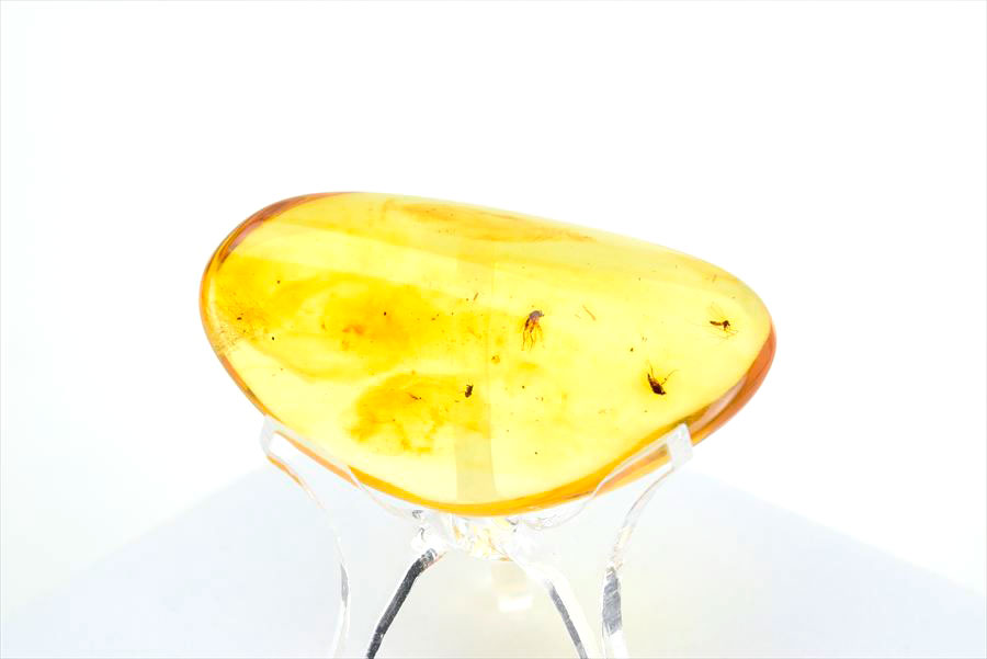 コロンビア産 虫入り 琥珀 アンバー コパル Copal Amber Insects Colombia ヤングアンバー タンブル