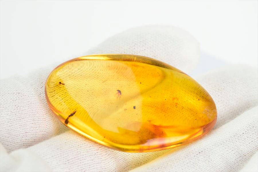 コロンビア産 虫入り 琥珀 アンバー コパル Copal Amber Insects Colombia ヤングアンバー タンブル