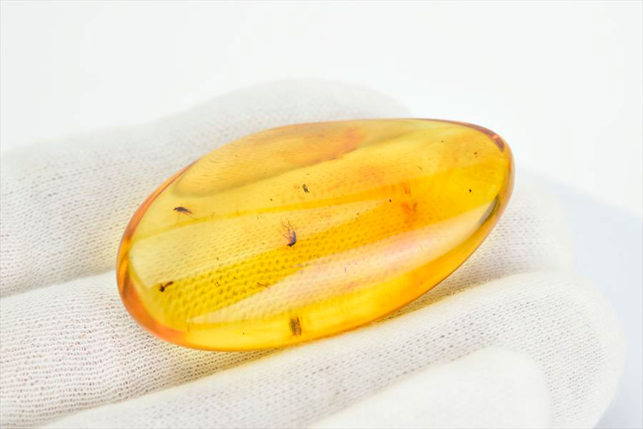 コロンビア産 虫入り 琥珀 アンバー コパル Copal Amber Insects Colombia ヤングアンバー タンブル