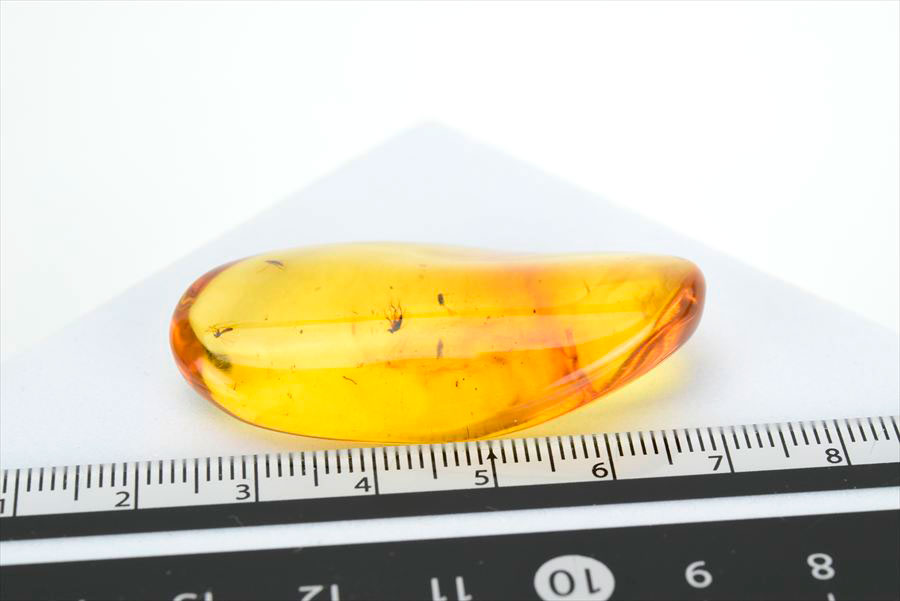 コロンビア産 虫入り 琥珀 アンバー コパル Copal Amber Insects Colombia ヤングアンバー タンブル