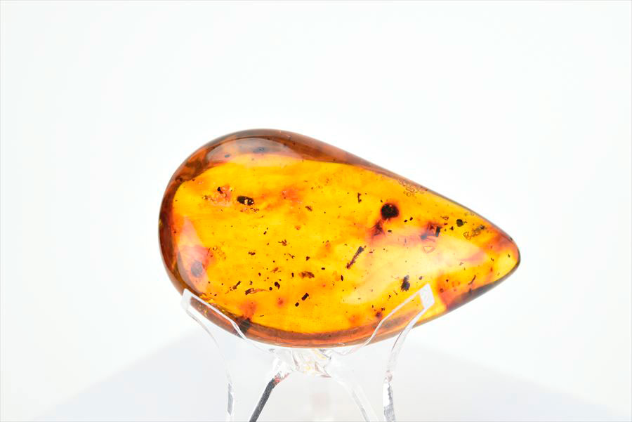 コロンビア産 虫入り 琥珀 アンバー コパル Copal Amber Insects Colombia ヤングアンバー タンブル