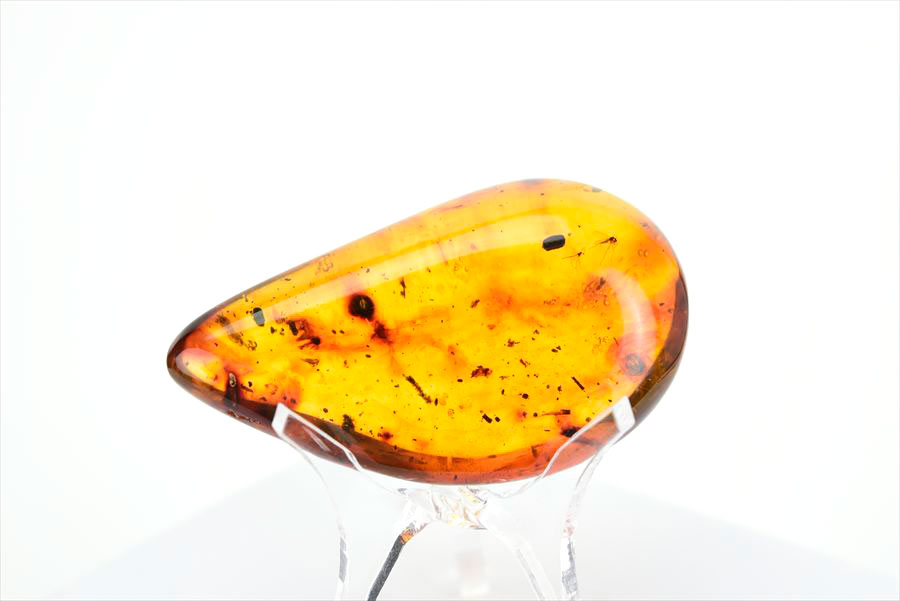 コロンビア産 虫入り 琥珀 アンバー コパル Copal Amber Insects Colombia ヤングアンバー タンブル