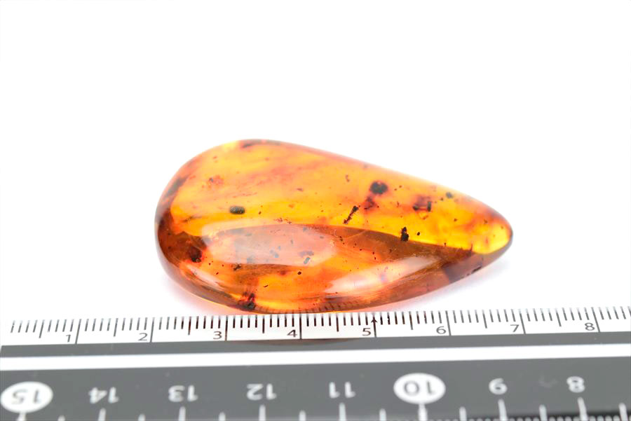 コロンビア産 虫入り 琥珀 アンバー コパル Copal Amber Insects Colombia ヤングアンバー タンブル