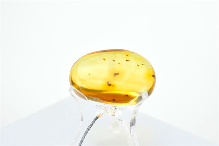 コロンビア産 虫入り 琥珀 アンバー コパル Copal Amber Insects Colombia ヤングアンバー タンブル