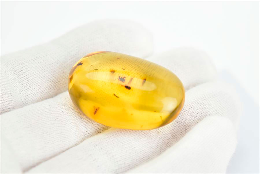 コロンビア産 虫入り 琥珀 アンバー コパル Copal Amber Insects Colombia ヤングアンバー タンブル