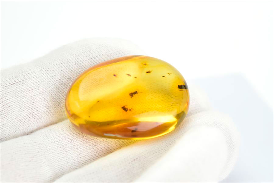 コロンビア産 虫入り 琥珀 アンバー コパル Copal Amber Insects Colombia ヤングアンバー タンブル