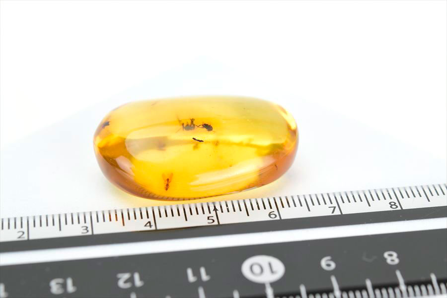 コロンビア産 虫入り 琥珀 アンバー コパル Copal Amber Insects Colombia ヤングアンバー タンブル