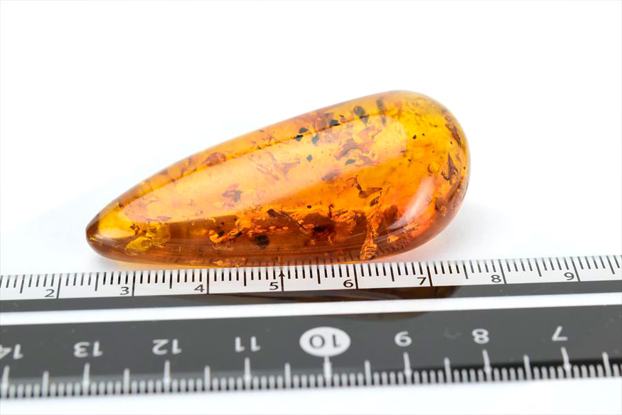 コロンビア産 虫入り 琥珀 アンバー コパル Copal Amber Insects Colombia ヤングアンバー タンブル