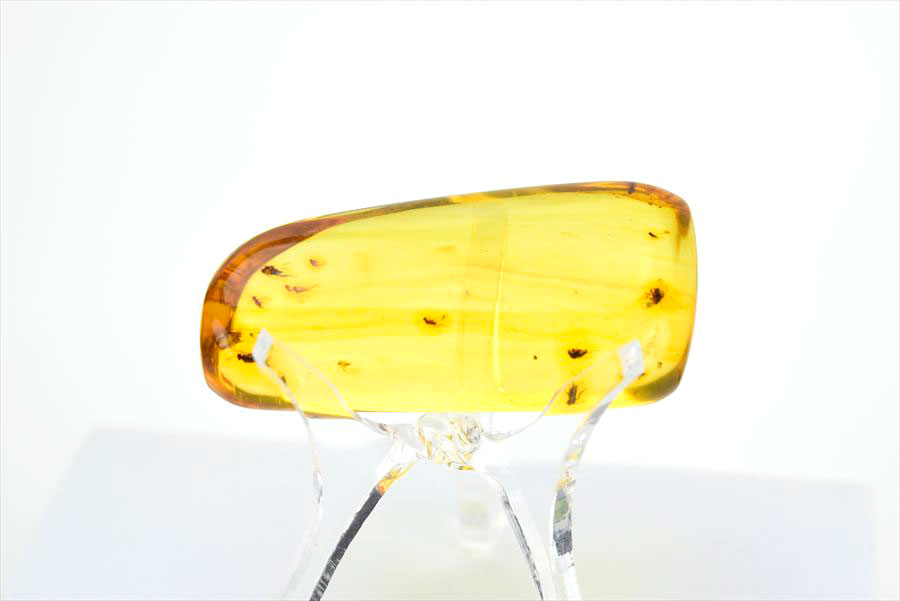 コロンビア産 虫入り 琥珀 アンバー コパル Copal Amber Insects Colombia ヤングアンバー タンブル