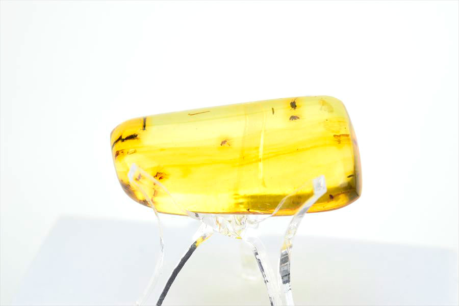 コロンビア産 虫入り 琥珀 アンバー コパル Copal Amber Insects Colombia ヤングアンバー タンブル