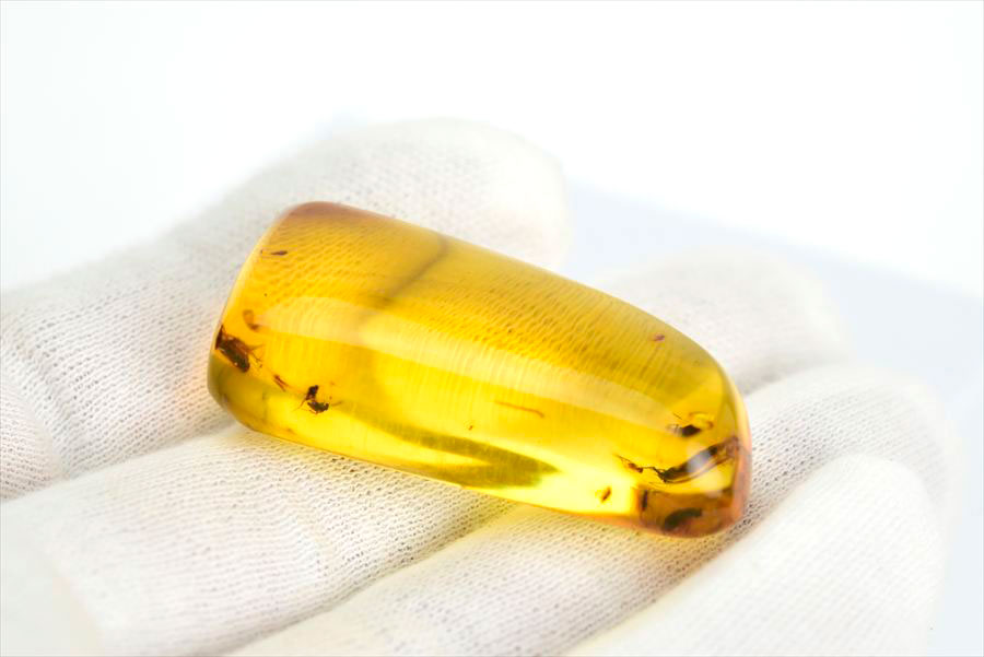 コロンビア産 虫入り 琥珀 アンバー コパル Copal Amber Insects Colombia ヤングアンバー タンブル