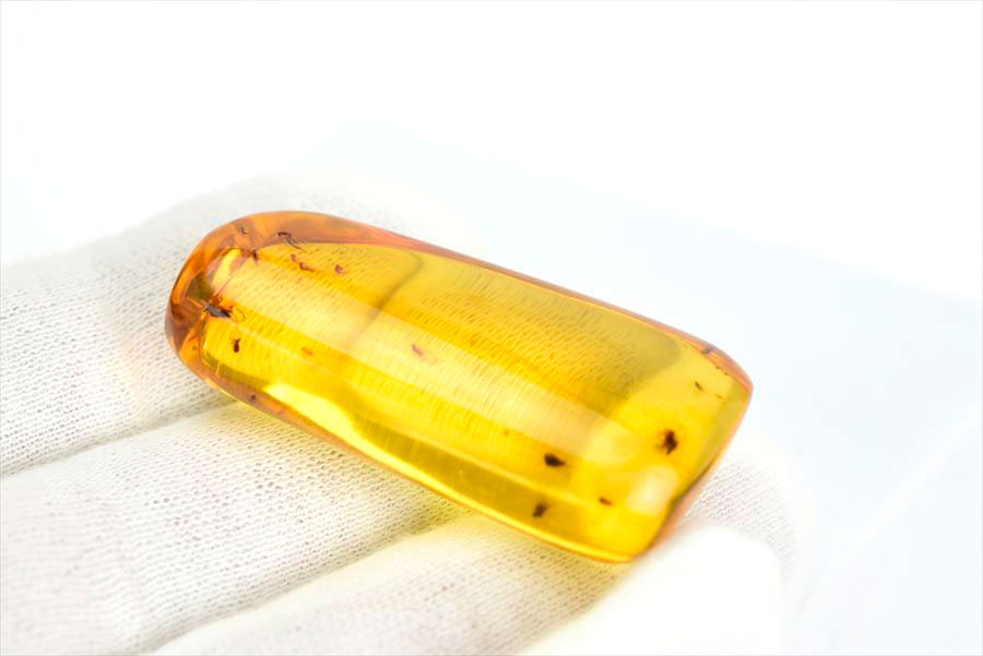 コロンビア産 虫入り 琥珀 アンバー コパル Copal Amber Insects Colombia ヤングアンバー タンブル