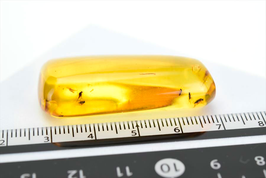 コロンビア産 虫入り 琥珀 アンバー コパル Copal Amber Insects Colombia ヤングアンバー タンブル