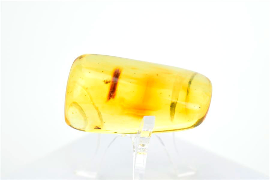 コロンビア産 虫入り 琥珀 アンバー コパル Copal Amber Insects Colombia ヤングアンバー タンブル