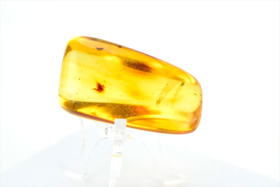 コロンビア産 虫入り 琥珀 アンバー コパル Copal Amber Insects Colombia ヤングアンバー タンブル