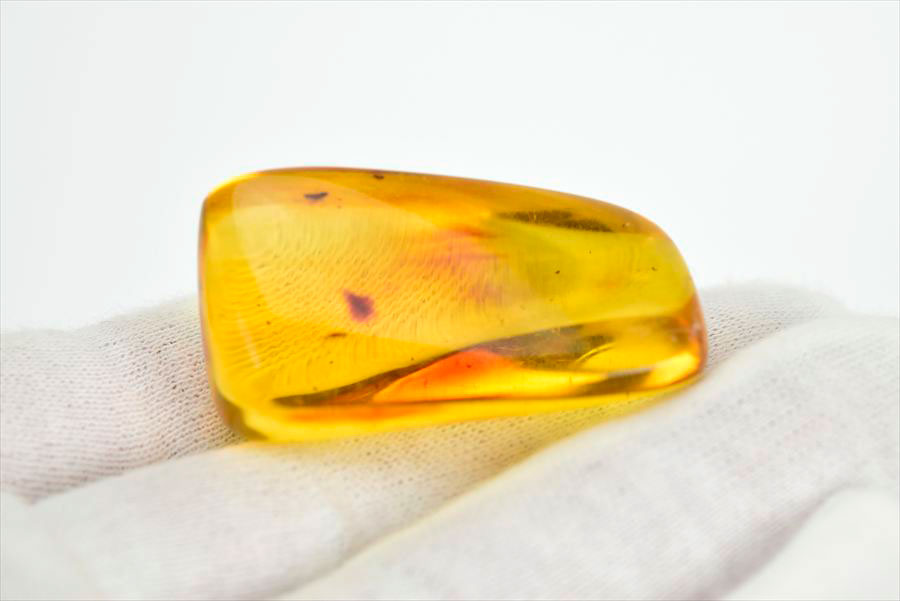 コロンビア産 虫入り 琥珀 アンバー コパル Copal Amber Insects Colombia ヤングアンバー タンブル