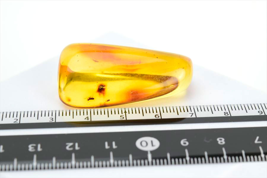 コロンビア産 虫入り 琥珀 アンバー コパル Copal Amber Insects Colombia ヤングアンバー タンブル