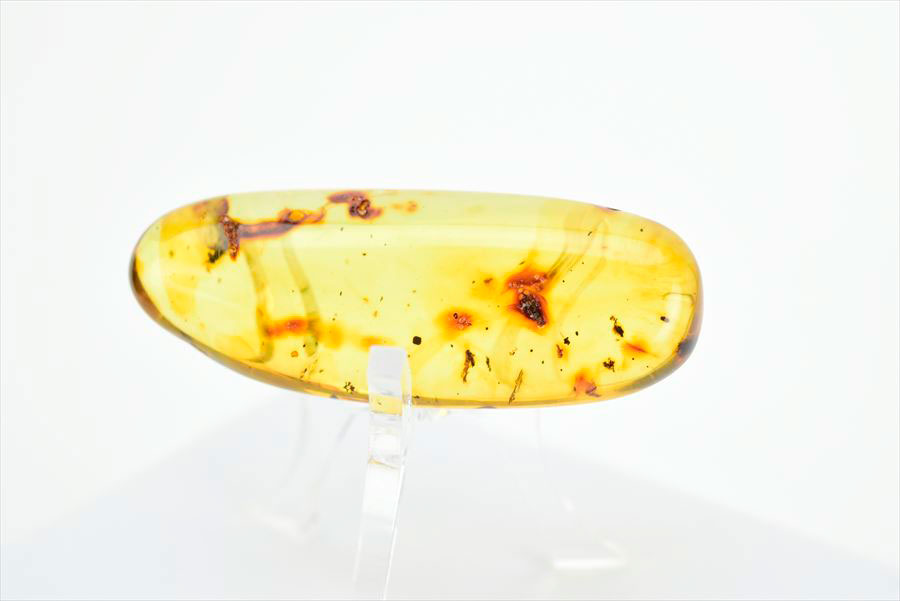コロンビア産 虫入り 琥珀 アンバー コパル Copal Amber Insects Colombia ヤングアンバー タンブル