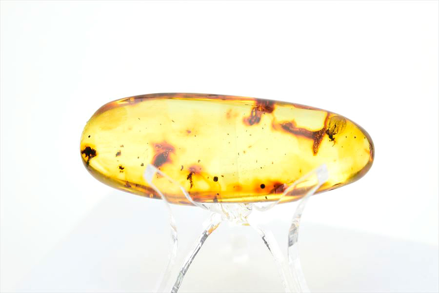 コロンビア産 虫入り 琥珀 アンバー コパル Copal Amber Insects Colombia ヤングアンバー タンブル