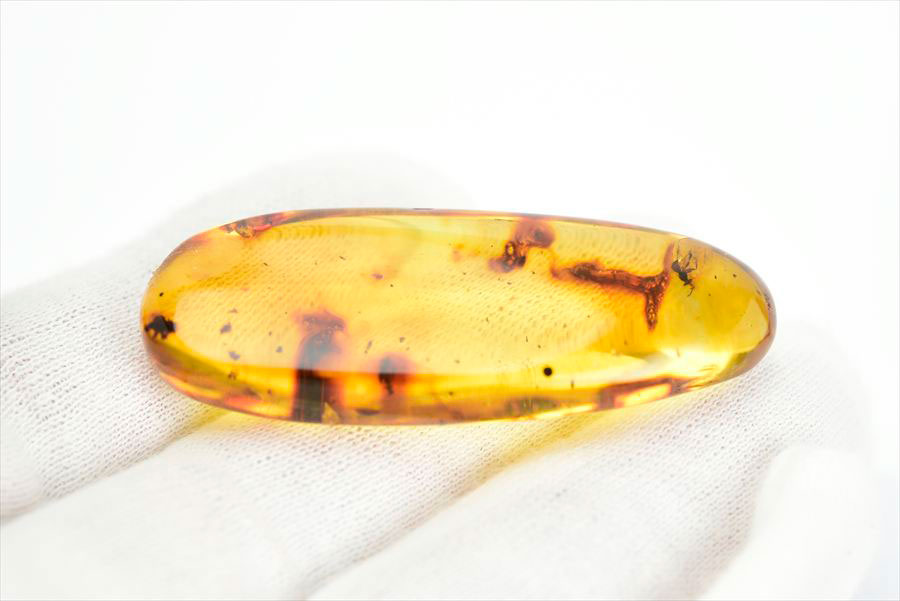 コロンビア産 虫入り 琥珀 アンバー コパル Copal Amber Insects Colombia ヤングアンバー タンブル