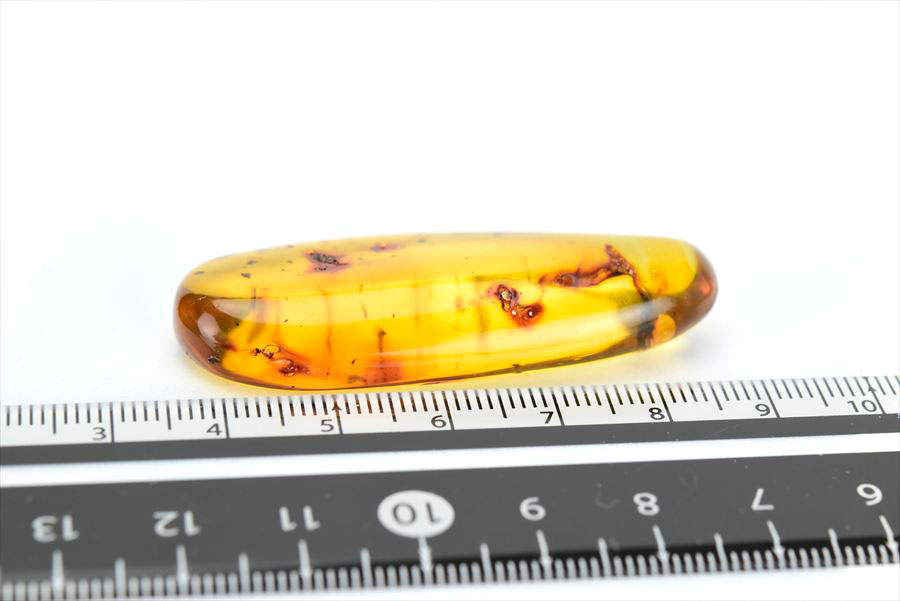 コロンビア産 虫入り 琥珀 アンバー コパル Copal Amber Insects Colombia ヤングアンバー タンブル