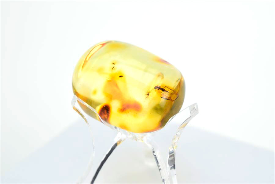 コロンビア産 虫入り 琥珀 アンバー コパル Copal Amber Insects Colombia ヤングアンバー タンブル