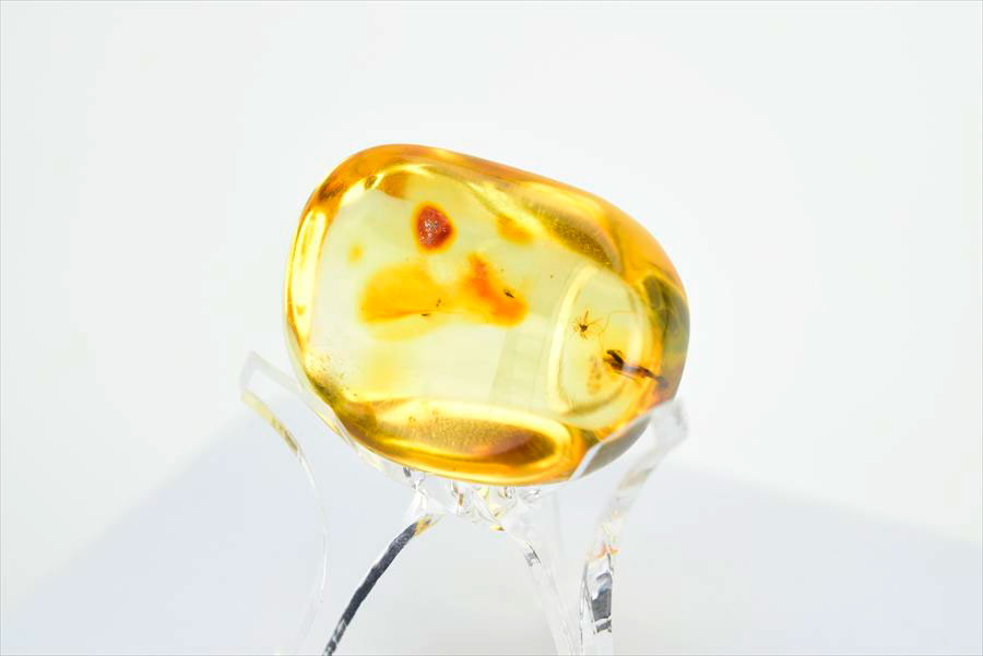 コロンビア産 虫入り 琥珀 アンバー コパル Copal Amber Insects Colombia ヤングアンバー タンブル