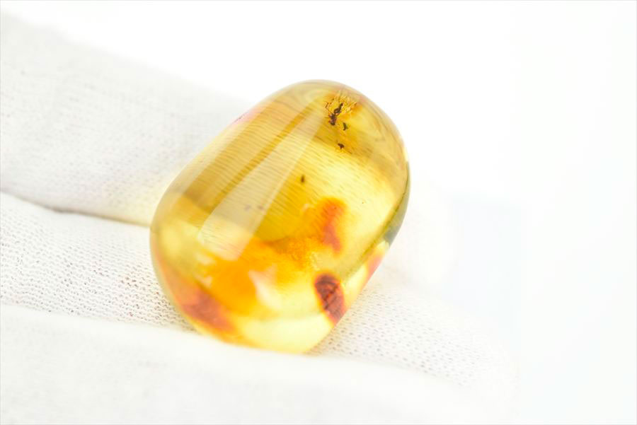 コロンビア産 虫入り 琥珀 アンバー コパル Copal Amber Insects Colombia ヤングアンバー タンブル