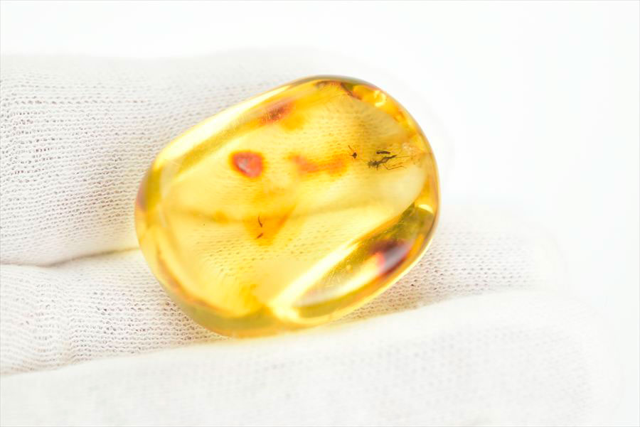 コロンビア産 虫入り 琥珀 アンバー コパル Copal Amber Insects Colombia ヤングアンバー タンブル