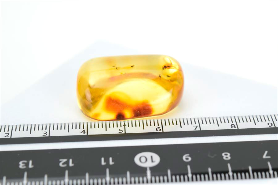 コロンビア産 虫入り 琥珀 アンバー コパル Copal Amber Insects Colombia ヤングアンバー タンブル
